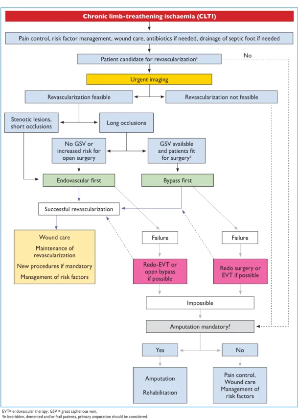 Figure 6. Management of patients with chronic limb-threatening ischaemia.