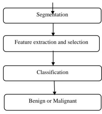 Fig. 1 Flow chart of proposed method 