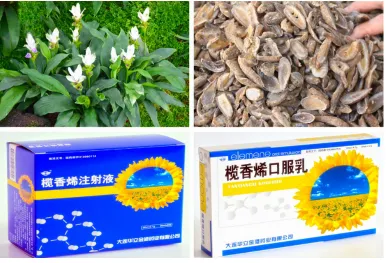 Figure 1 The source of elemene and its drug delivery systems approved by the CFDA.Abbreviation: CFDA, China Food and Drug Administration.