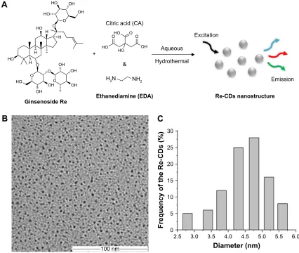 Figure 1 schematic illustration of re-based cDs via hydrothermal method (A), and the TeM image (B) with the size distribution (C) of re-cDs.Abbreviations: ca, citric acid; eDa, ethylenediamine; re-cDs, re-based carbon dots; TeM, transmission electron microscopy.