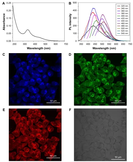 Figure 3 Fluorescent properties and cell imaging of re-cDs.field (Notes: (A) UV–vis spectrum of re-cDs