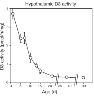 Figure 1Neonatal hypothalamic D3 activity. Each point represents the mean ± 