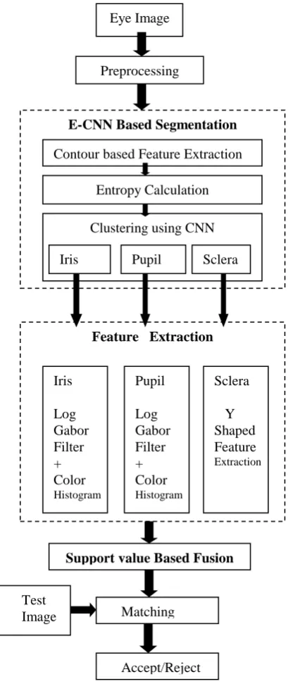Fig. 1. Sample  Noisy Eye Images In Visible Spectrum 