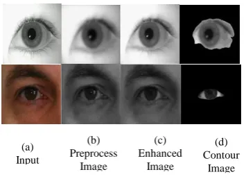 Fig. 4.  Processing the input image to get the contour image based on color, texture and brightness feature for MMU and UBIRIS V2 database  