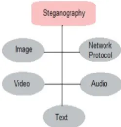 Fig. 1 Steganography types 