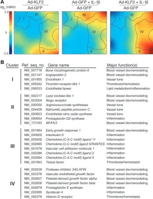 Figure 2Elucidation of KLF2-regulated global gene expression programs. (A) Visualization of whole-genome expression patterns controlled by KLF2 and/or IL-1b in HUVECs