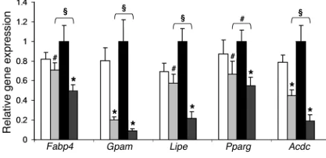 Figure 6Expression of genes involved in inflammation. Quantitative RT-PCR (dark gray bars) mice with body mass greater than 40 g were studied, as were lean bars)