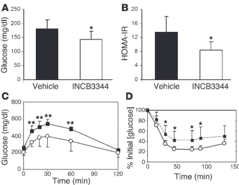 Figure 9Insulin sensitivity in CCR2 antagonist–treated mice. (