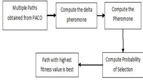Fig. 5: Energy Consumption of nodes between PACA and RACA  