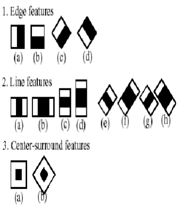 Fig. 2. HAAR Cascade 