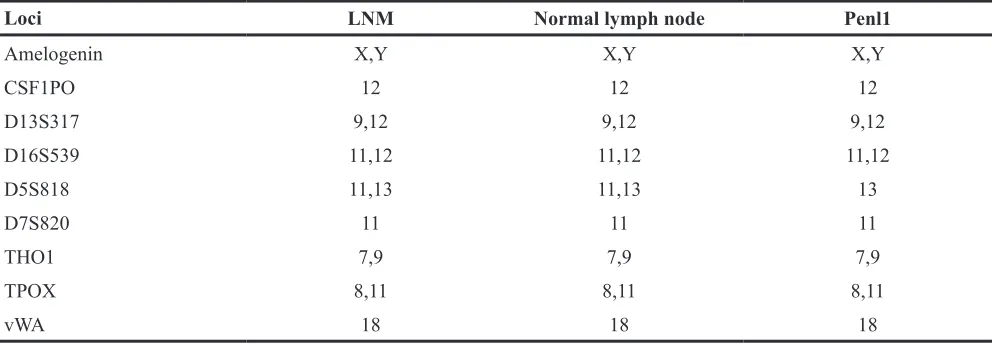 Table 1: STR profile of Penl1 cell line, compared to original LNM and normal lymph node