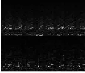 Fig.7 Input DICOM image 