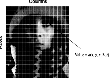 Figure -1: Represents Digitization of a continuous Image. The pixel co-ordinates [m=10, n=3]
