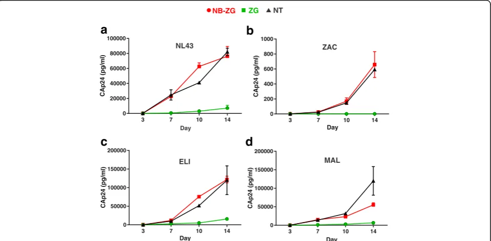 Fig. 6 NB-ZSG1 inhibits virus replication of all the HIV-1 strains tested in primary CD4+ T cells