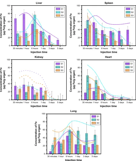 Figure 5 The time profiles of the distribution of PEGylated IONPs (µg Fe/g organ) in vital tissues