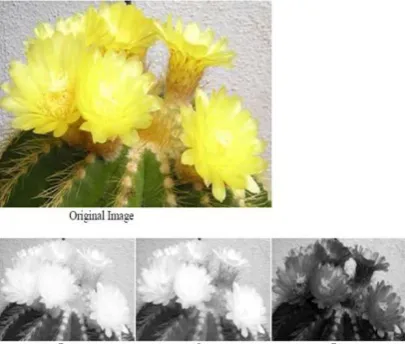 Fig 6. Image alignment using PCA 