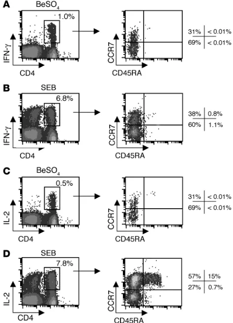 Figure 3Maturation phenotype staining of beryllium-specific IFN-γ– and IL-2-expressing CD4+ T cells in blood of a representative CBD subject