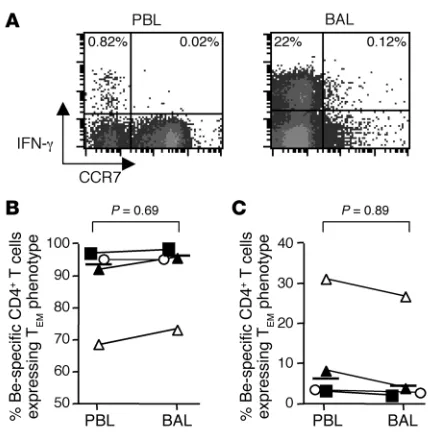 Figure 7Beryllium-specific CD4+ T cells from blood and BAL of CBD patients express similar maturation phenotypes