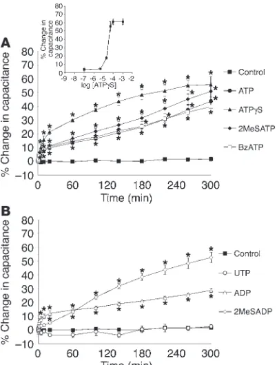 Figure 3Modulation of membrane capacitance by serosal addition of purinergic 