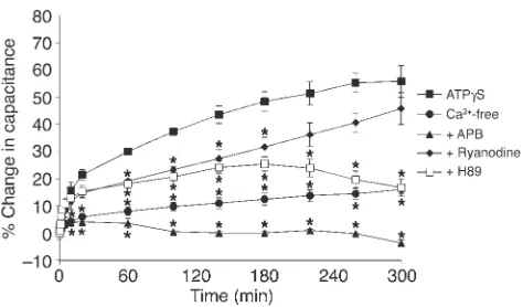 Figure 7Potential role of Ca
