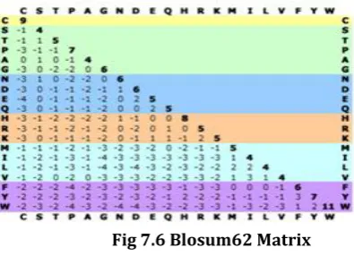Fig 7.6 Blosum62 Matrix 