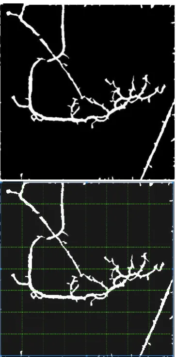 Fig 2. Dividing the image into 64x64 pixels block