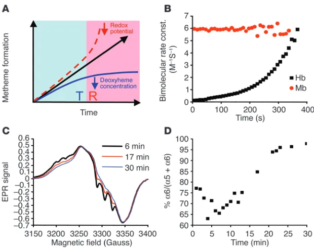 Figure 2Sigmoidal reaction behavior of the nitrite-deoxyheme reaction occurs due to T-to-R alloste-