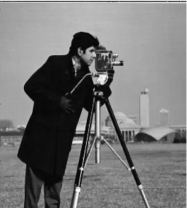 Fig -4(c): The above watermark image is hidden inside the input cameraman image. 