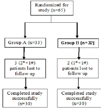 Figure 1: Patients randomization, assignment and completion of study. 