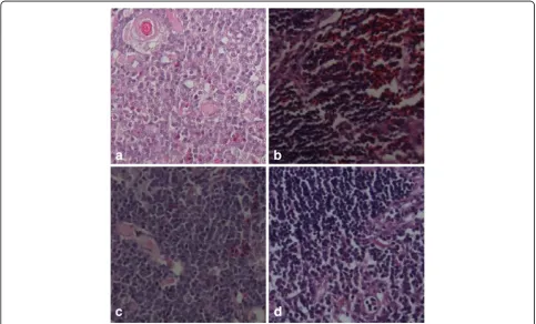 Fig. 8 Gross changes in the thymuses and spleens of SPF chickens infected with rM9905 (a), rCAV-VP3N88 (b), rCAV-VP3N80 (c), or mock-infected (d)