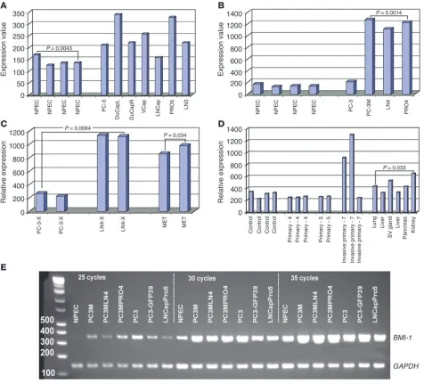 Figure 1Microarray (growing orthotopically in nude mice (tissues from age-matched wild-type C57BL/6 mice served as control samples in Figure 1D