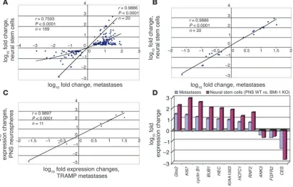 Figure 2Distant metastatic lesions in the TRAMP transgenic mouse model of prostate cancer exhibit stem cell–like expression signatures of the BMI-1 