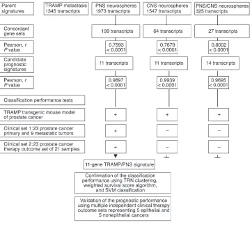 Figure 3Sequential analytical steps used for identification, selection, and validation of the 11-gene death-from-can-