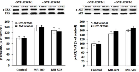 Figure 4: Activation of ERK and AKT pathways by GHRH agonists. Fibroblasts were pre-starved in serum-free FibroLife medium for 24 hours, then treated with 1 µM GHRH agonists for 30 min in the absence (□) or presence (■) of 3 µM NVP-AEW541, a specific inhib
