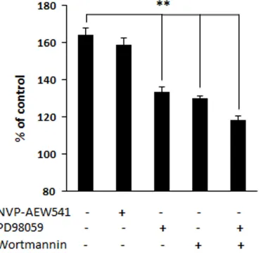Figure 5: Proliferation of fibroblast in presence of inhibitors. Concentrations of the inhibitors, in serum-free Fibrolife medium, are NVP-AEW541 (3 µM), PD98059 (50 µM), wortmannin (0.5 µM)