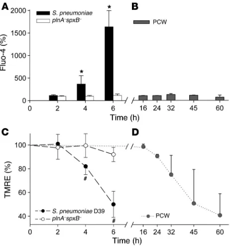 Figure 3Influence of pneumococci and PCW on Ca