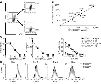 Figure 4Subfractionated CD62Land CCR7; the costimulatory molecule CD27; activation/effector markers CD44, CD69, CD25, and granzyme-B; and the senescence marker KLRG-1