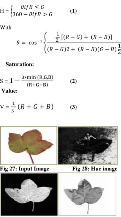 Fig 31:Input image                  Fig 32:Binary image 