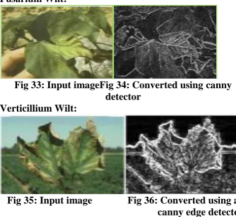 Fig 37: Input image          Fig 38: Converted using a canny  edge detector. 