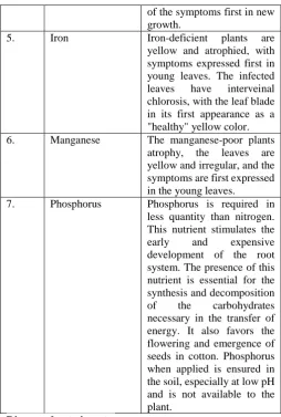 Fig 21: Disease due to whitefly insects  Symptoms: 