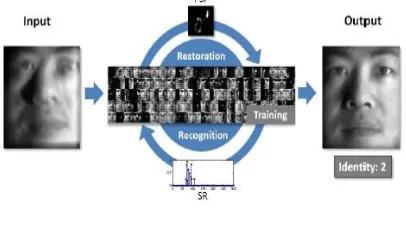 Fig 1.1: Sparse Representation based JRR framework.  