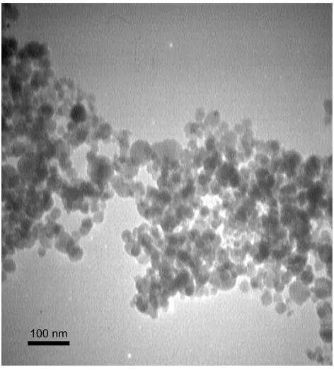 Figure 1 Transmission electron microscopy images of the cNP.