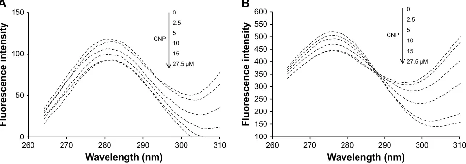 Figure 9 Near UV-cD spectra (260–350 nm) of hhb (15 µM) were measured in the absence and presence of different concentrations of cNPs 15, 30, and 45 µM in phosphate buffer at ph 7.4 and 10 mM at temperature 25°c.