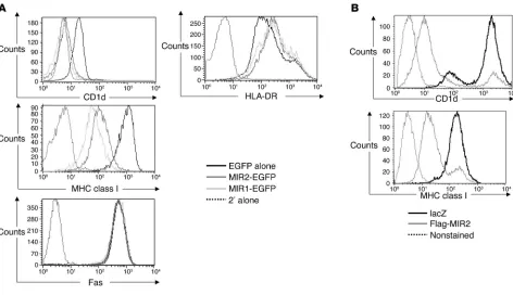 Figure 2MIR1 and MIR2 induce CD1d downregulation. (A) BJAB cells were transiently transfected by electroporation with expression vectors for EGFP, 