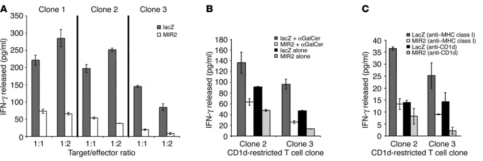 Figure 3MIR2 downregulation of CD1d lowers CD1d-restricted T cell activation. (A) BJAB cells stably transduced with either lacZ (gray bars) as a control or MIR2 (white bars) were cocultured with CD1d-restricted T cells