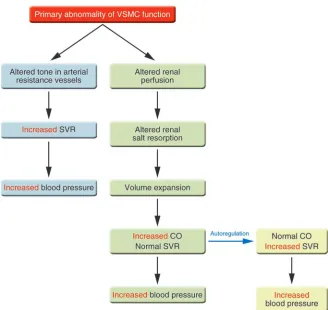Figure 1These cross-transplantation studies in An alternative model for the pathogenesis of hypertension