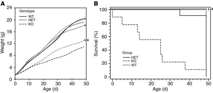 Figure 6Disrupted pituitary-adrenocortical function in Ikaros-deficient mice contributes to impaired growth and dimin-