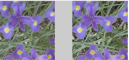 Fig -7: Contrast enhancement  results on color    