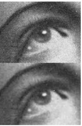 Fig -4: Gaussian Blur 