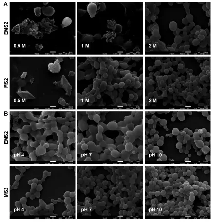 Figure 2 (Continued)